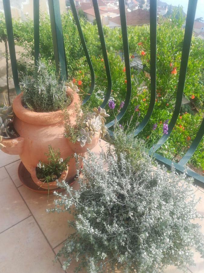 Apartman Betty Šibenik Exterior foto